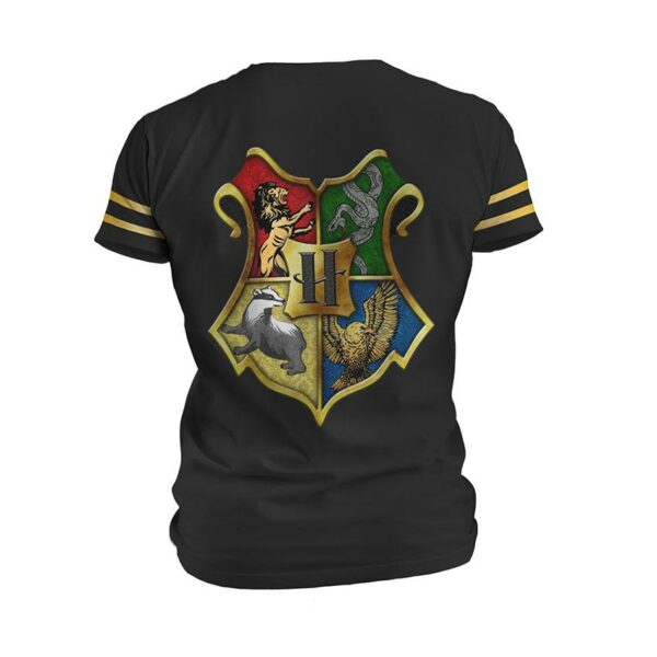 Футболка чоловіча спортивна з принтом «Гаррі Поттер. Факультети магії. Harry Potter. Faculties of magic»