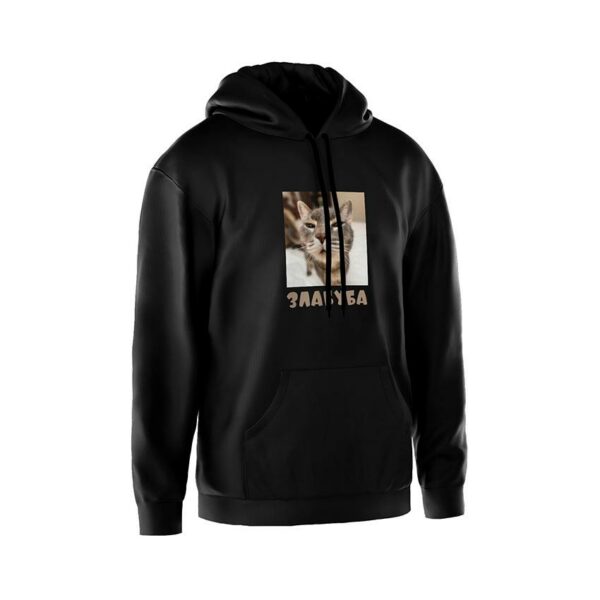 Худи мужское с принтом «Кот Злабуба. Мем. Cat Zlabuba. Meme»