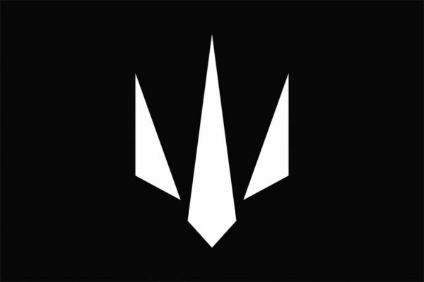 Прапор Сил безпілотних систем Збройних сил України (СБС) чорний