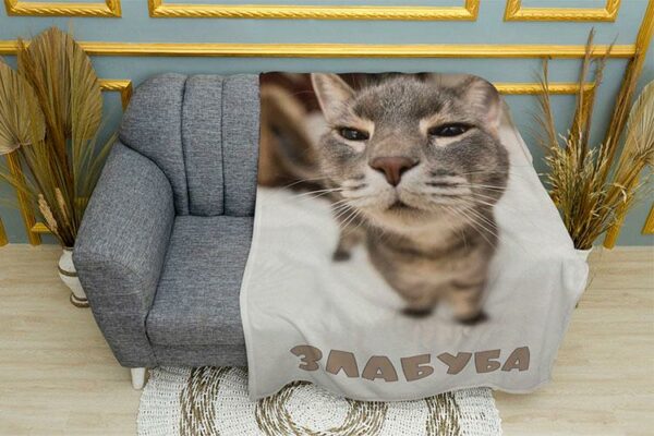 Плед «Кіт Злабуба. Мем. Cat Zlabuba. Meme»