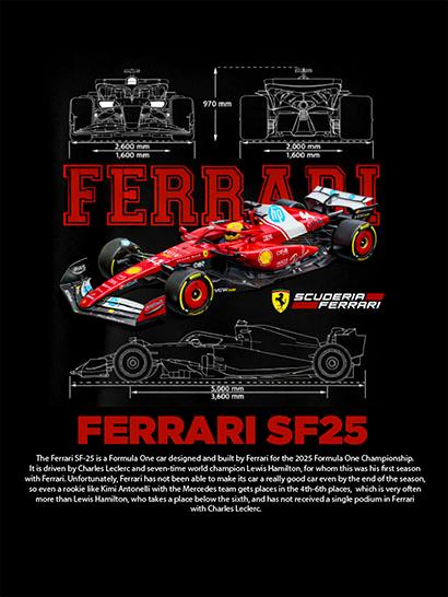 Плед «Гоночный болид. Формула-1. Racing Car. Formula-1»