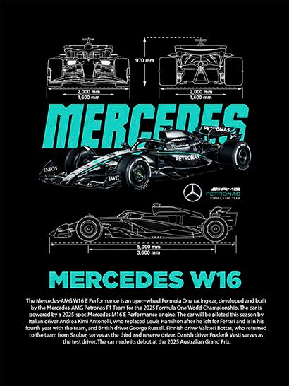 Плед «Гоночный болид. Формула-1. Racing Car. Formula-1»