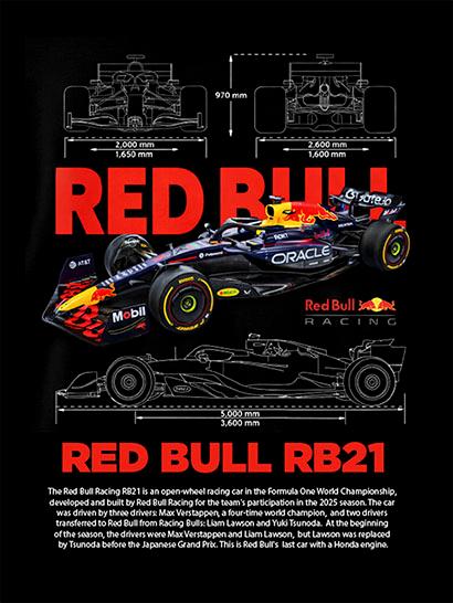 Плед «Гоночный болид. Формула-1. Racing Car. Formula-1»