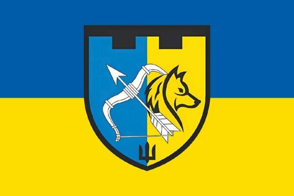 Флаг 209 отдельного батальона территориальной обороны 113 ОБрТрО (209 ОБ 113 ОБрТрО) ВСУ сине-желтый Флажная сетка, 1,35х0,9 м Распродажа