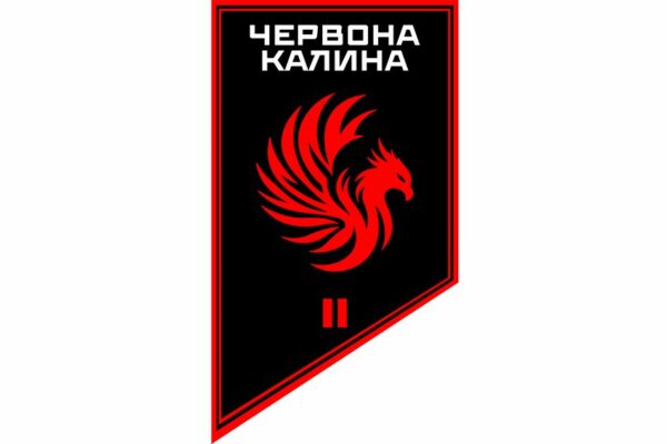 Флаг вертикальный 2-й батальон оперативного назначения «Феникс» 14-й БрОН «Красная Калина» 1 КНГУ 3